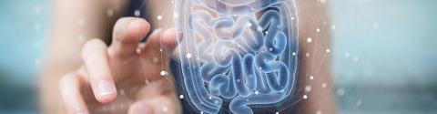 Blog probiótico y salud inmune